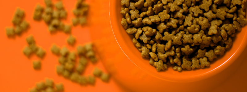 5. Buy sustainable pet food
