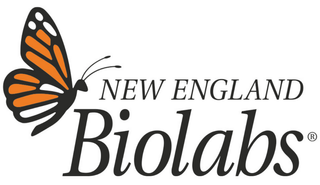 Exhibitor profile image for New England Biolabs