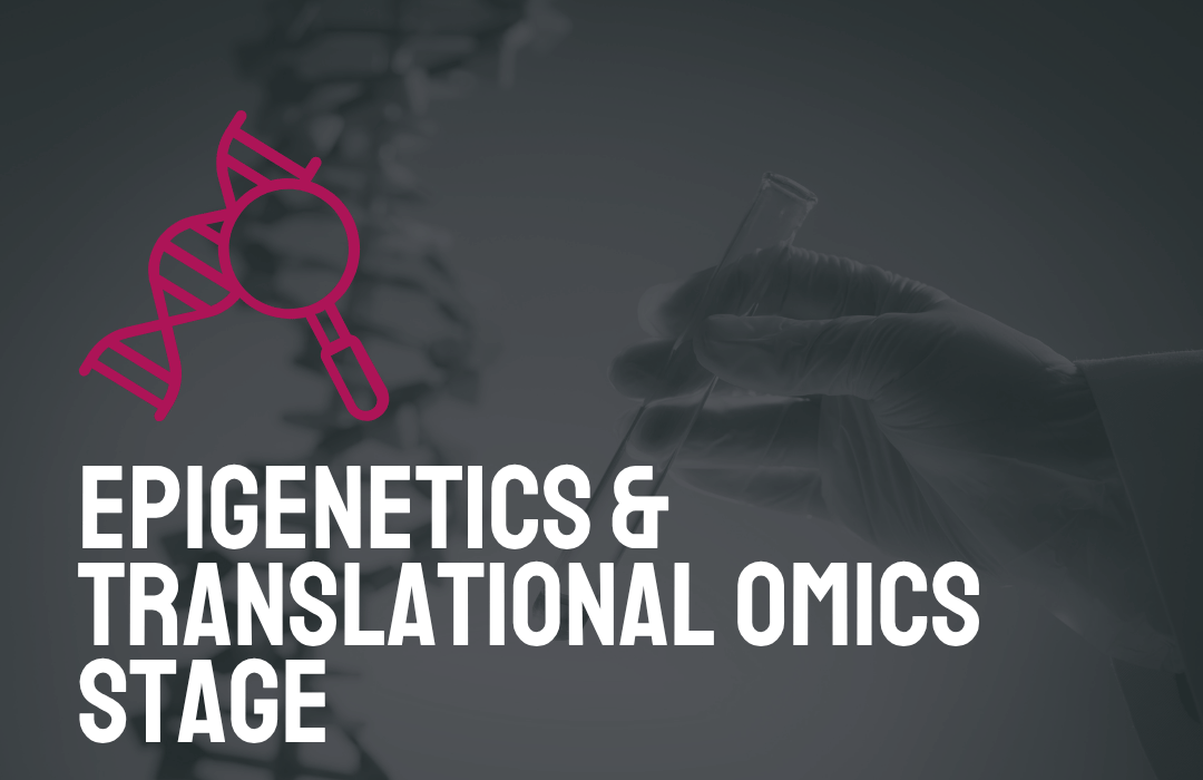 Epigenetics Stage