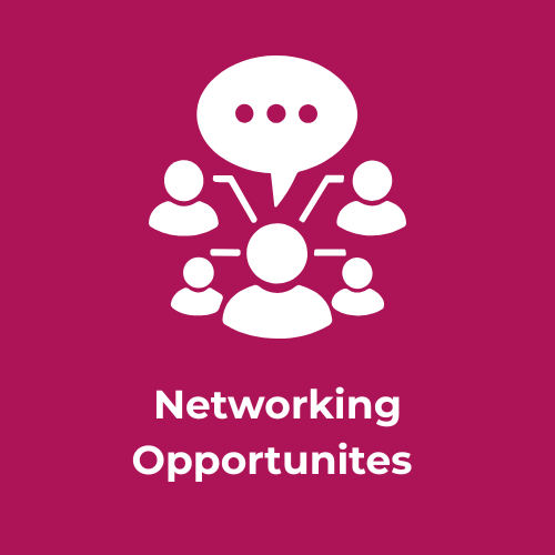 Curated networking