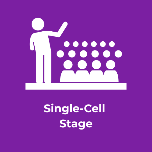 Presentations Single-Cell