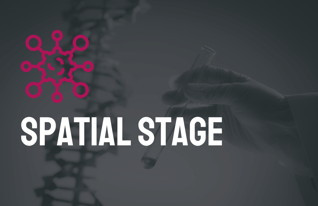 Spatial Stage