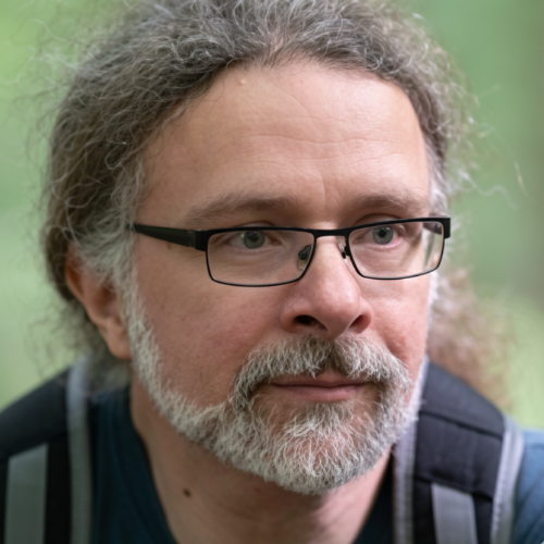 Horia Stanescu