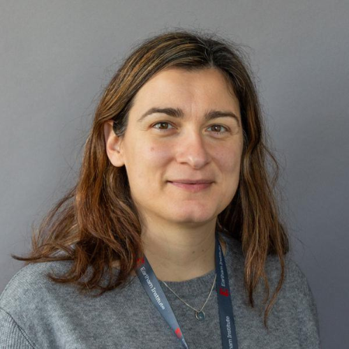 Speaker profile image for Irene Papatheodorou