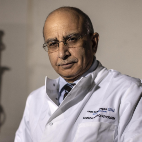 Speaker profile image for Safa Al-Sarraj