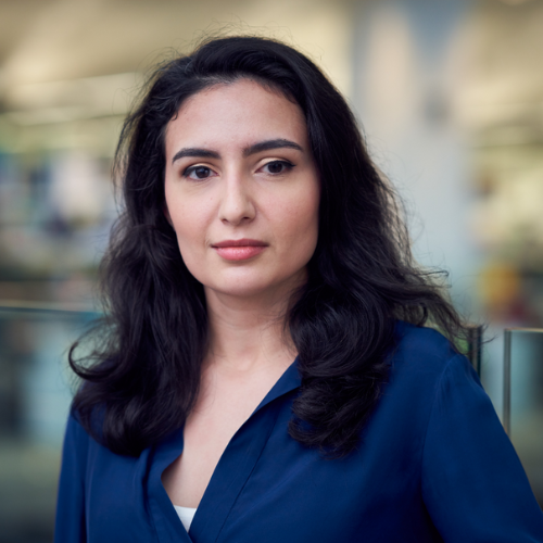 Speaker profile image for Semiramis Popova