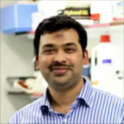 Speaker profile image for Yasir Syed