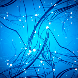 Data Sharing, Access & Security