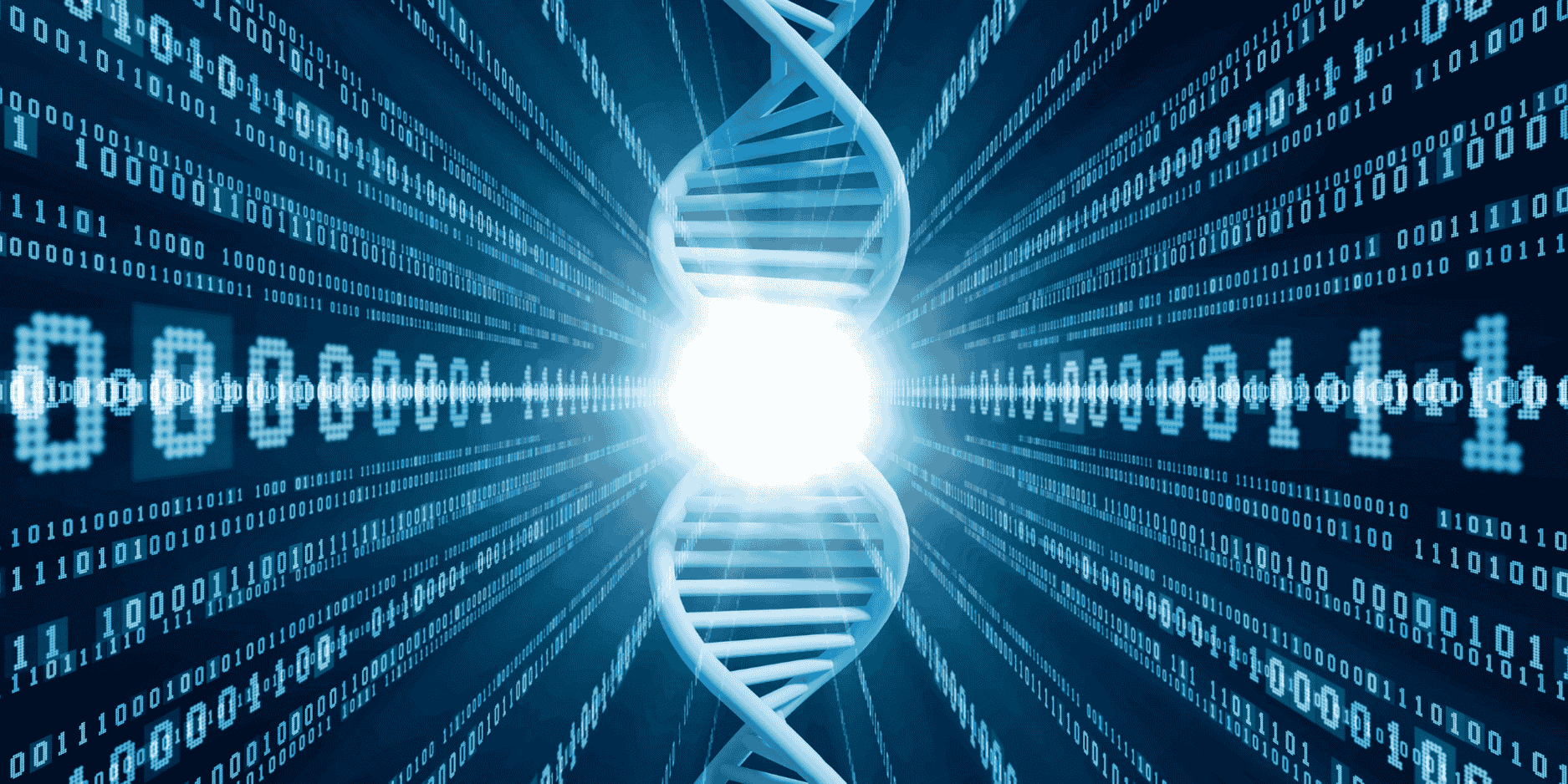 Biodata Topic image