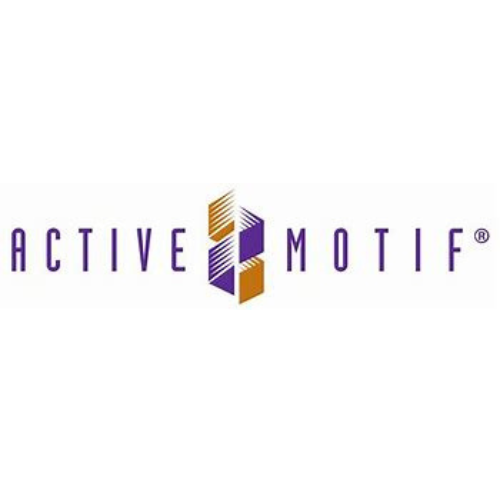 Active Motif