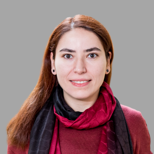 Safiye Celik