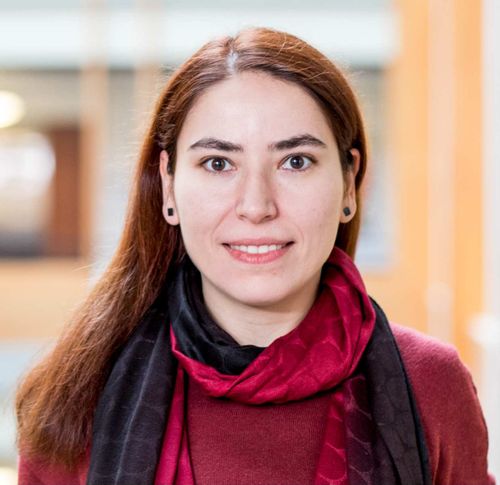 Safiye Celik