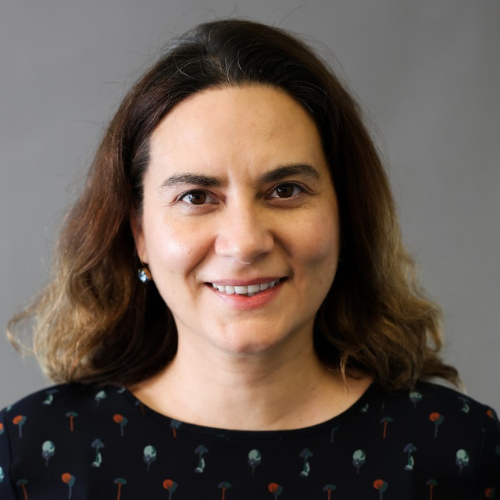 Ayla Ergun