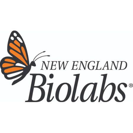 New England Biolabs