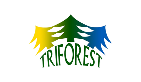 TriForest