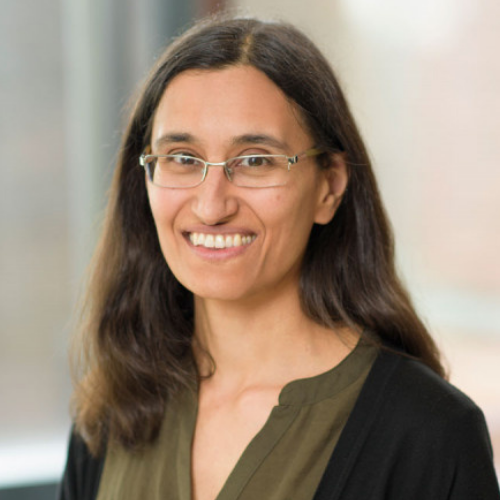 Speaker profile image for Christina Leslie