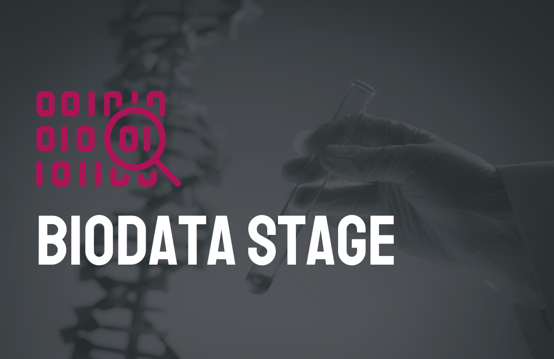 Biodata Stage icon