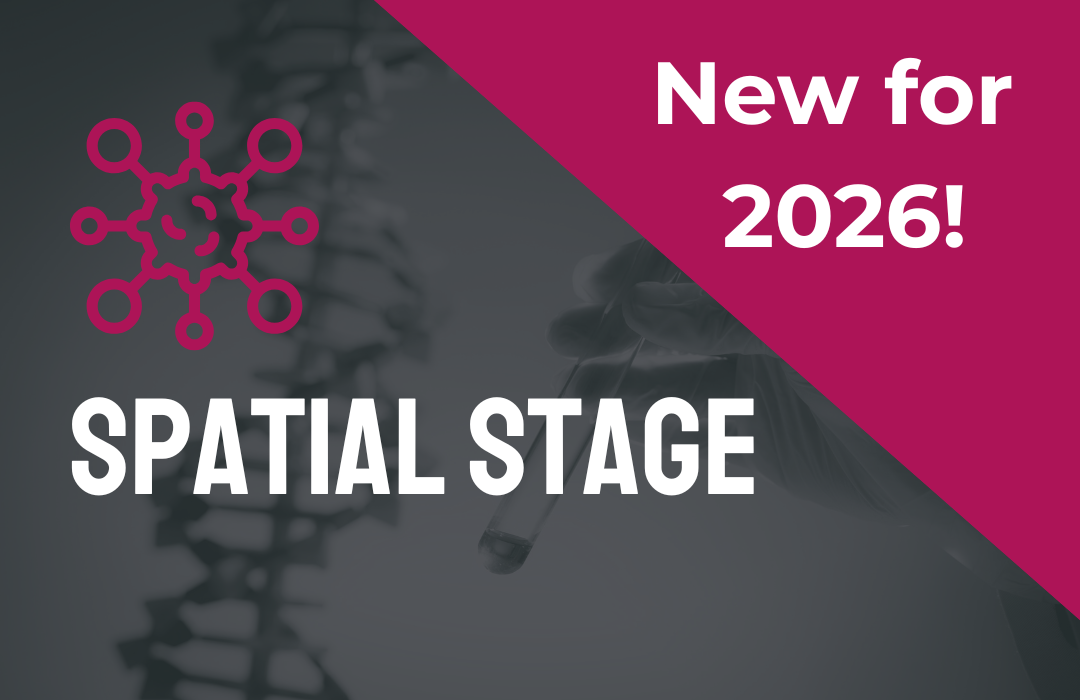 Start-up stage icon
