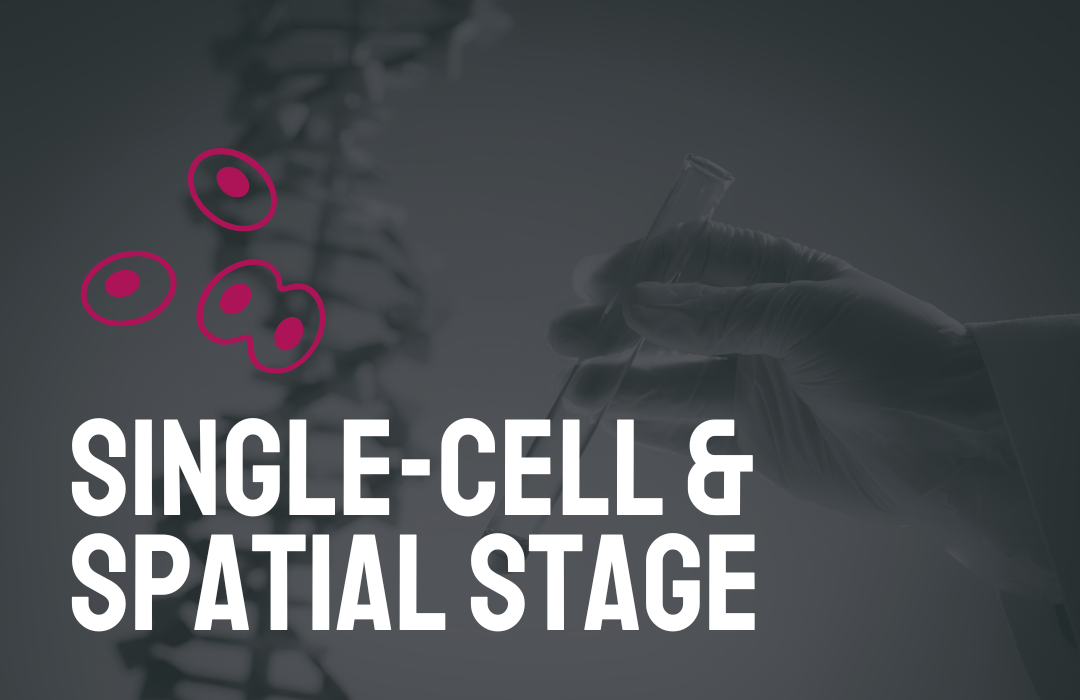 Single Cell icon