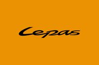 Company name - Lepas