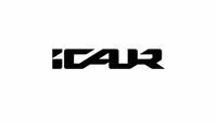 Company name - iCaur