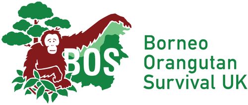 Borneo Orangutan Survival