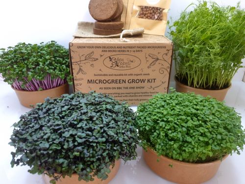 Microgreen Grow Kits