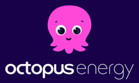 Company name - Octopus Energy