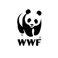 Company name - WWF