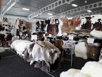 Company name - Cowhides of Brazil