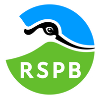 Company name - RSPB