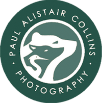 Company name - Paul Alistair Collins Photography