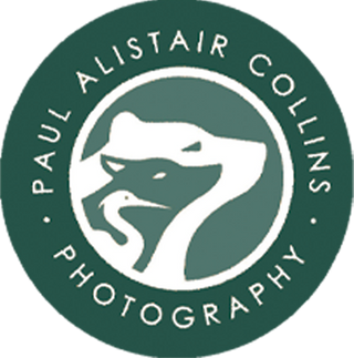 Exhibitor profile image for Paul Alistair Collins Photography