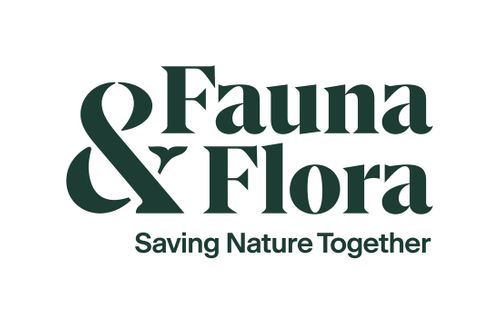 Fauna & Flora