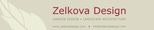 Zelkova Design