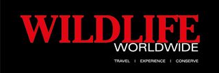 Exhibitor profile image for The Natural Travel Collection