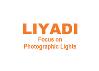 Company name - Liyadi