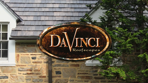 DaVinci Select Shake Roof in Black Oak