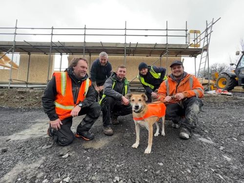 McVeigh Offsite Dogs 4 Rescue