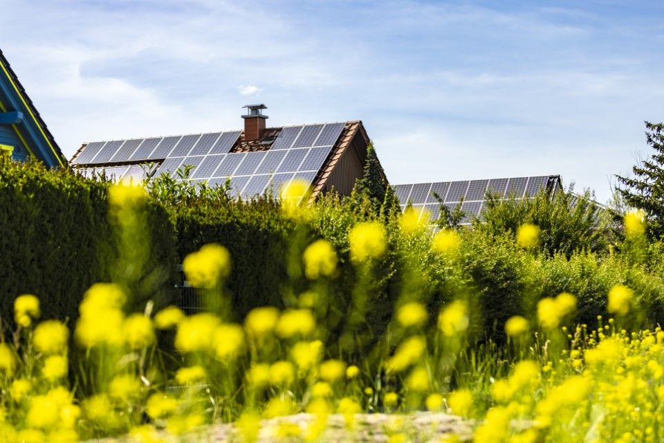 Ecology building Society