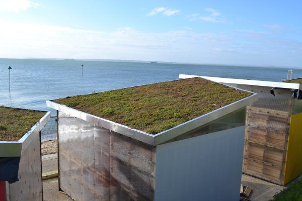Sedum Green Roofs