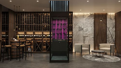 Aritco HomeLift Compact - Space-efficient home lift