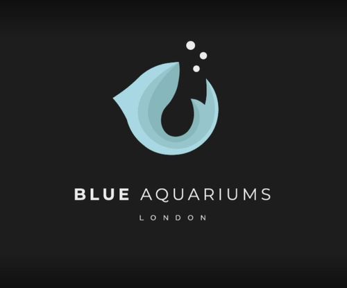 Blue Aquariums