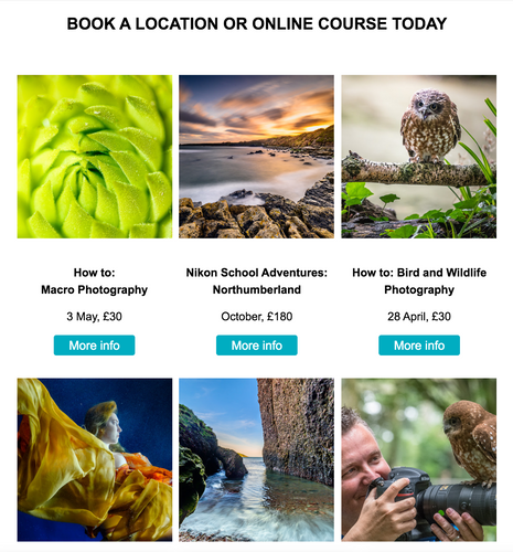 Nikon School training sessions