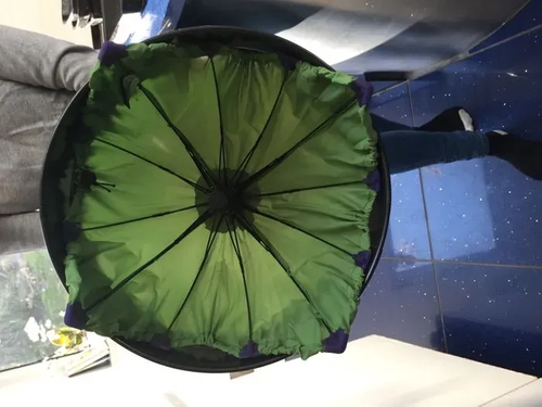 Chimella the chimney umbrella