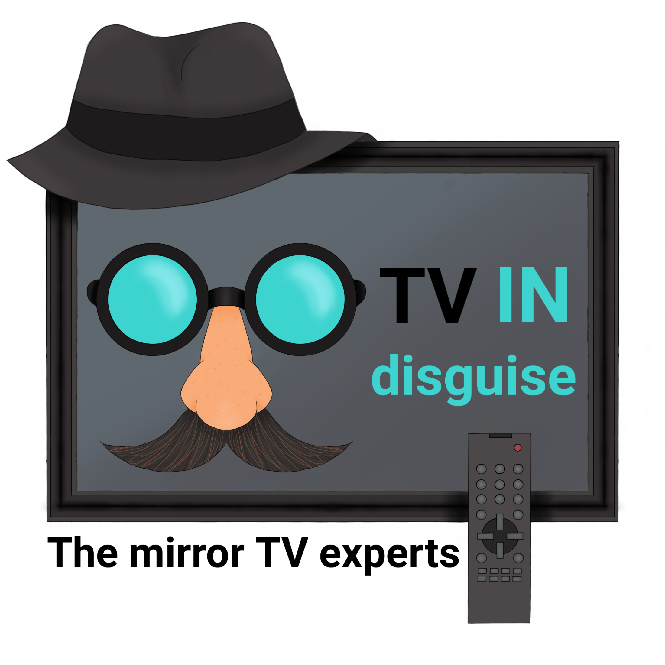 TV IN disguise