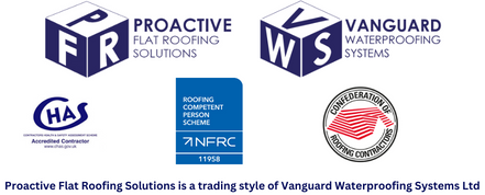 Vanguard Waterproofing Systems