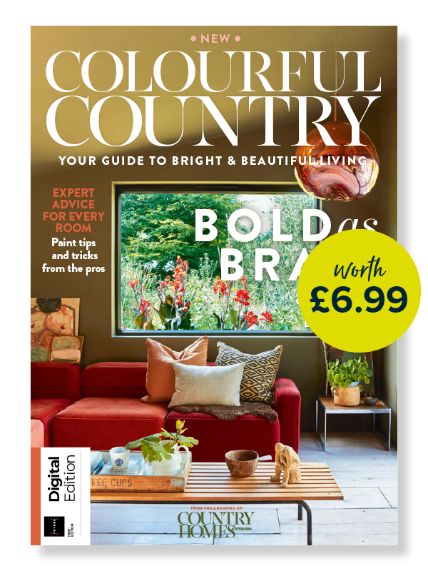 Country Homes & Interiors: Colourful Country