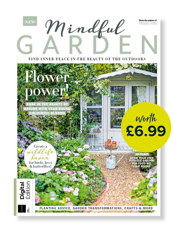 Transform your garden on a budget e-book cover