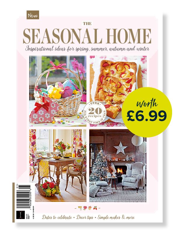 The Small Homes  e-book cover